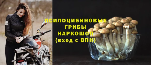 винт Надым