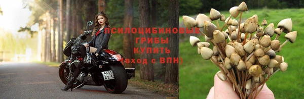 дмт Навашино