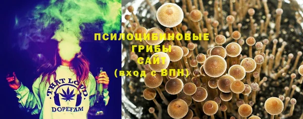 винт Надым