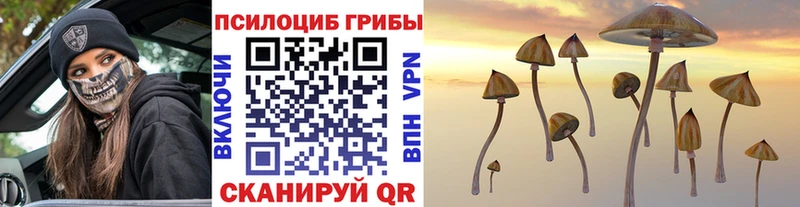 Купить закладки  Новороссийск  Псилоцибиновые грибы GOLDEN TEACHER 