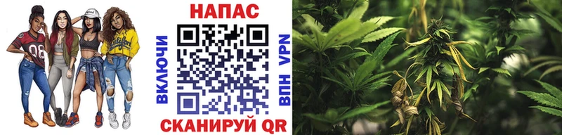 Купить где  Новороссийск  Каннабис MAZAR 